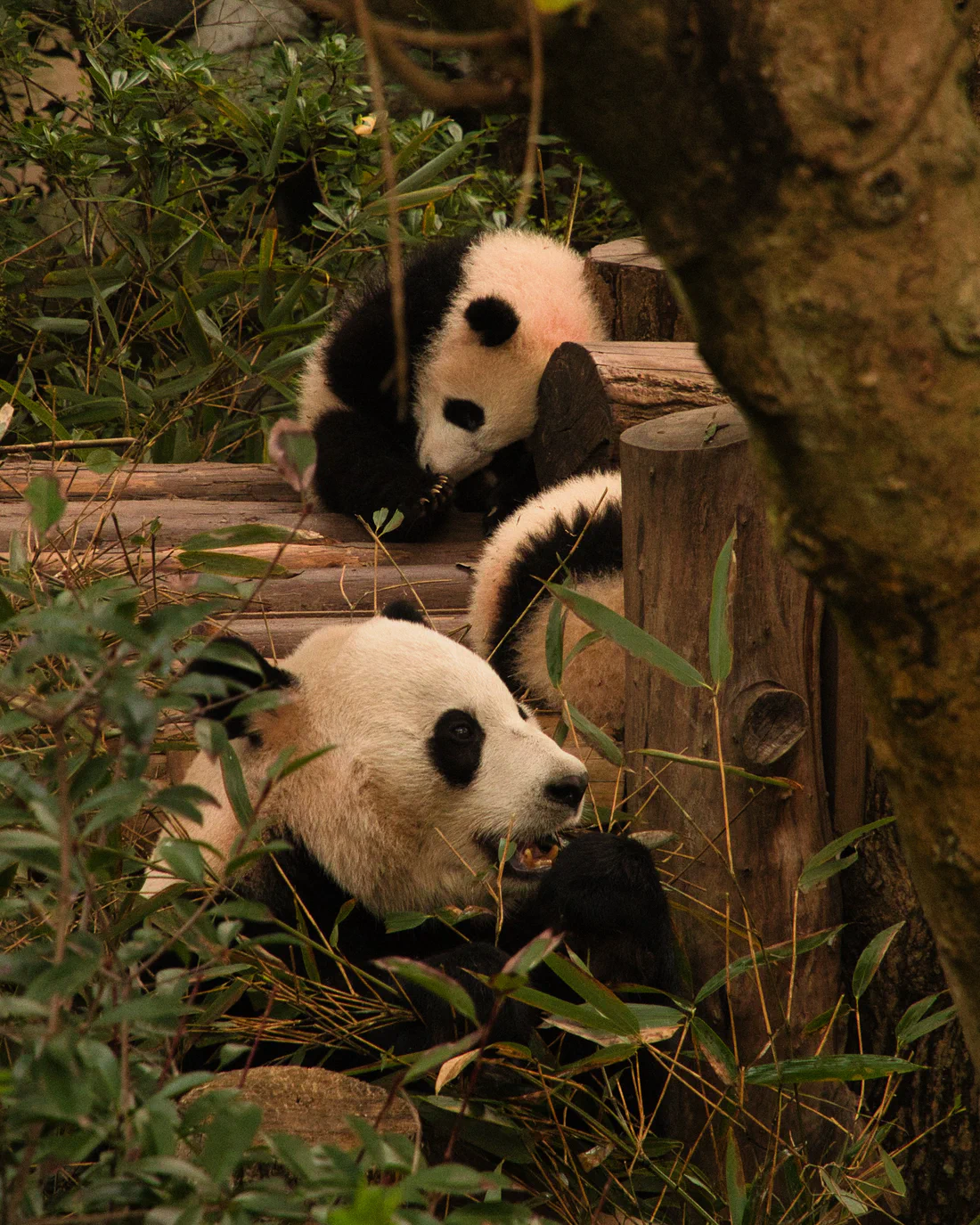Photograph from HK, MAC & CHN