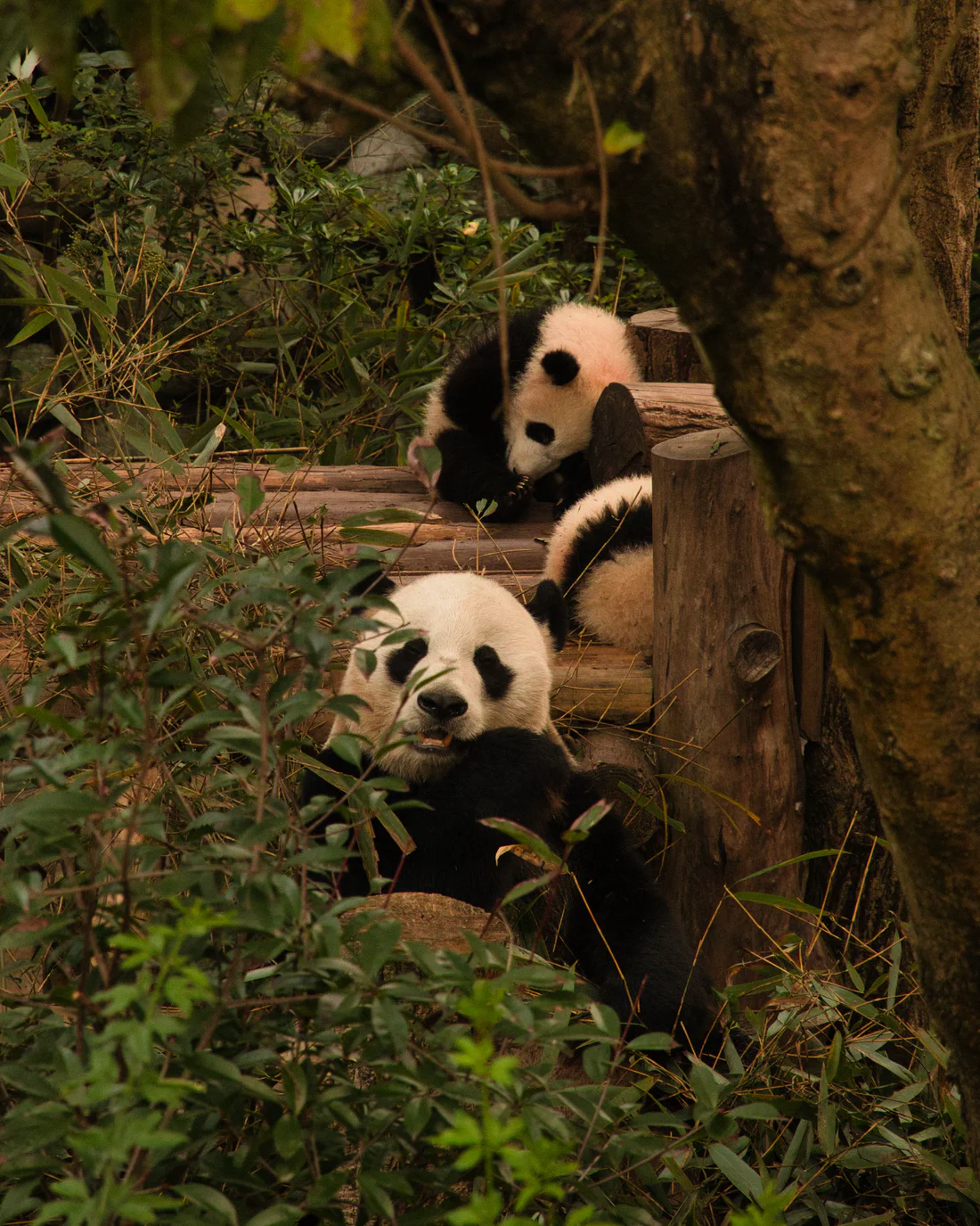 Photograph from HK, MAC & CHN