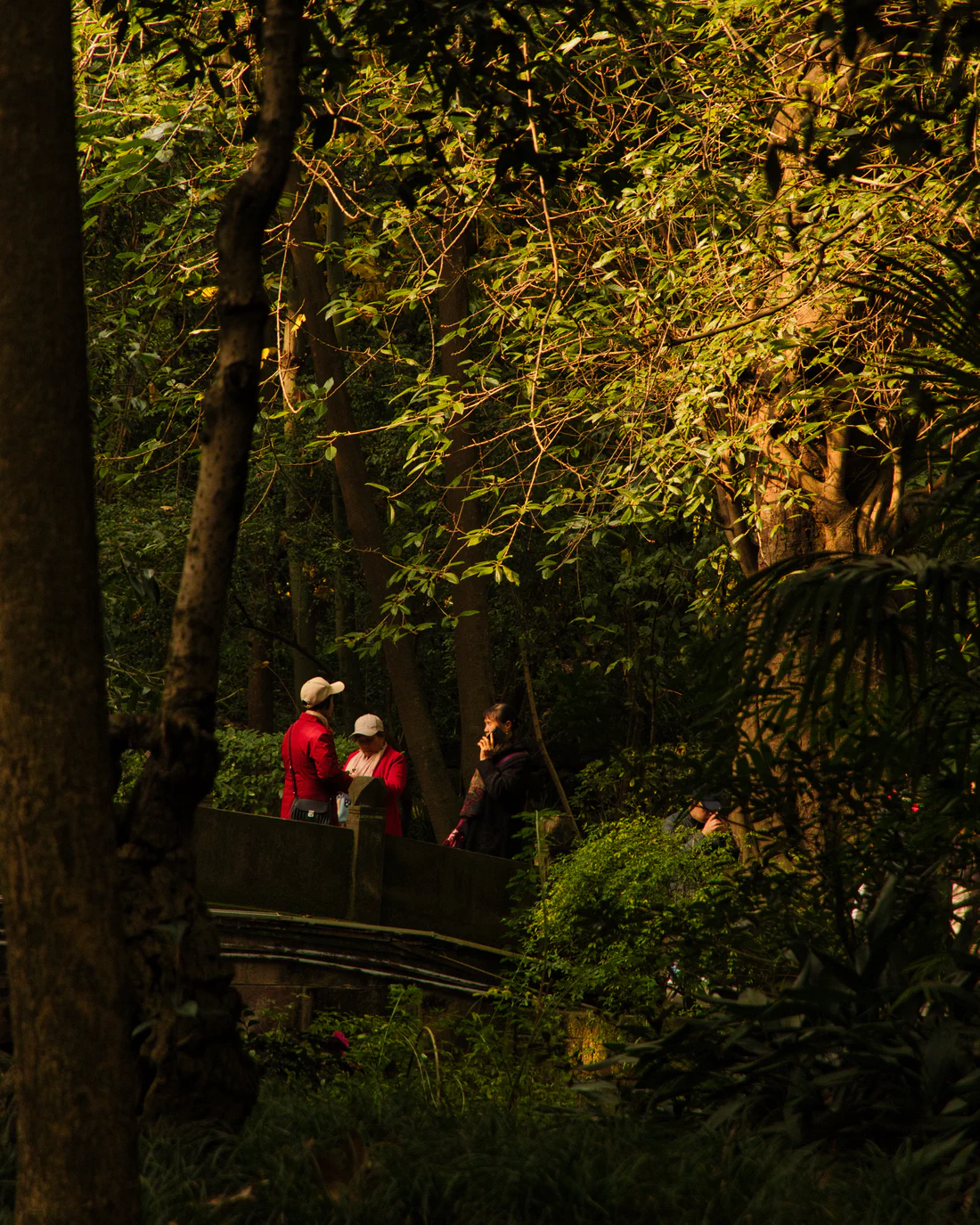 Photograph from HK, MAC & CHN