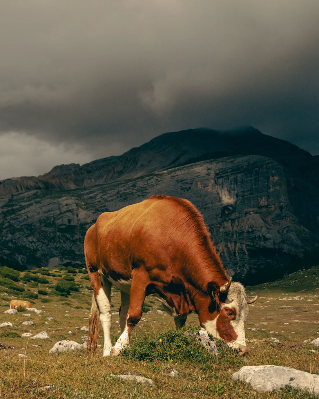 Photograph from Veneto e Dolomiti '25