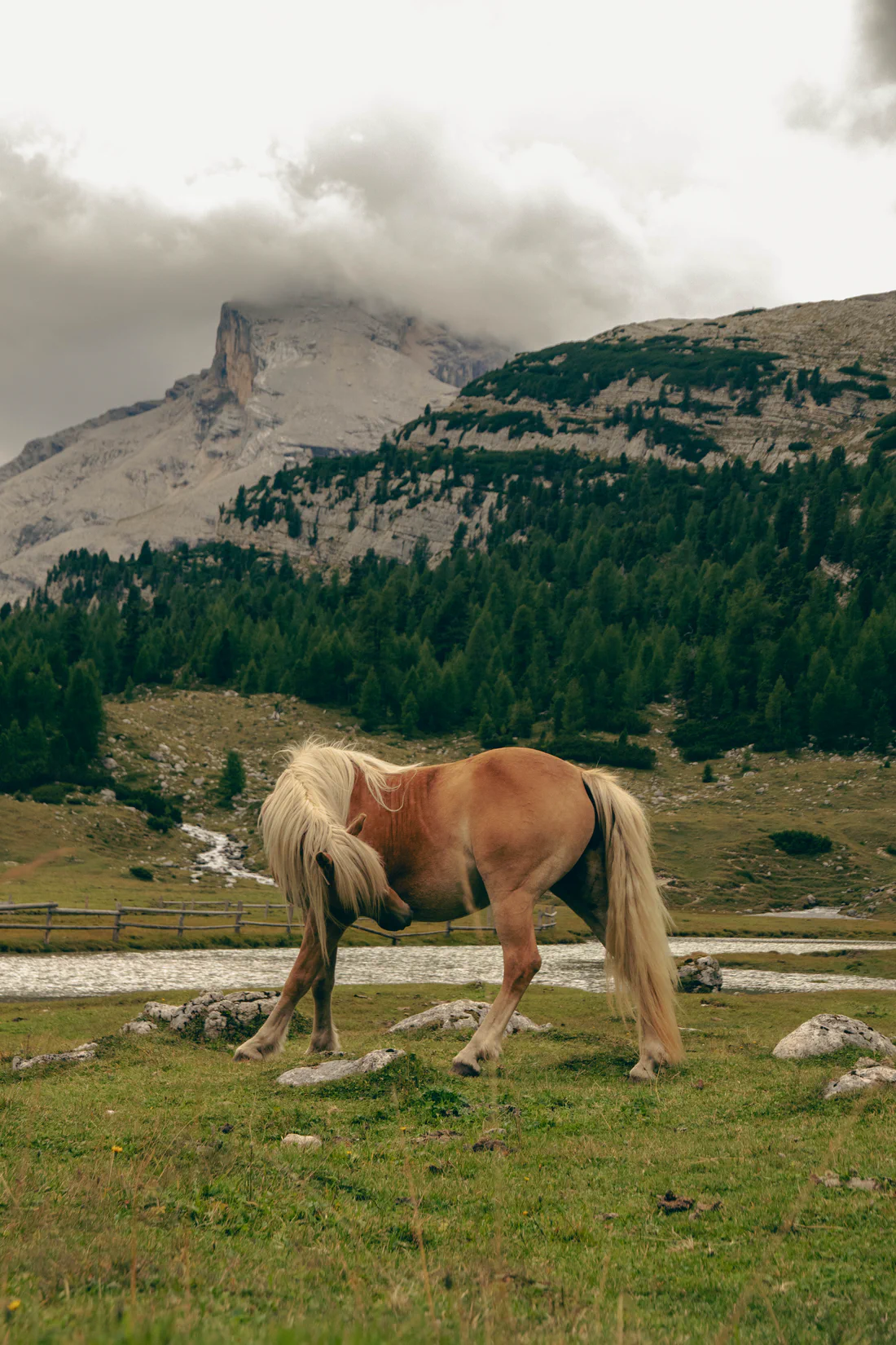 Photograph from Veneto e Dolomiti '25