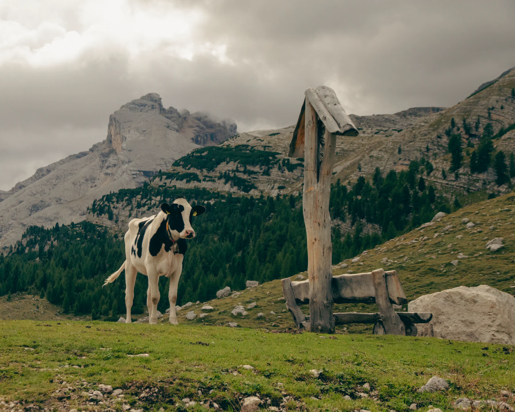 Photograph from Veneto e Dolomiti '25