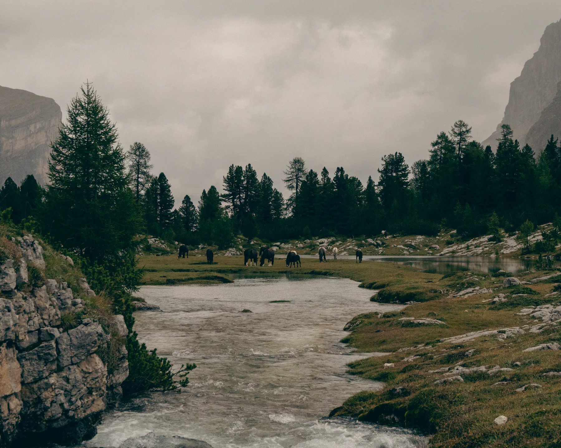 Photograph from Veneto e Dolomiti '25