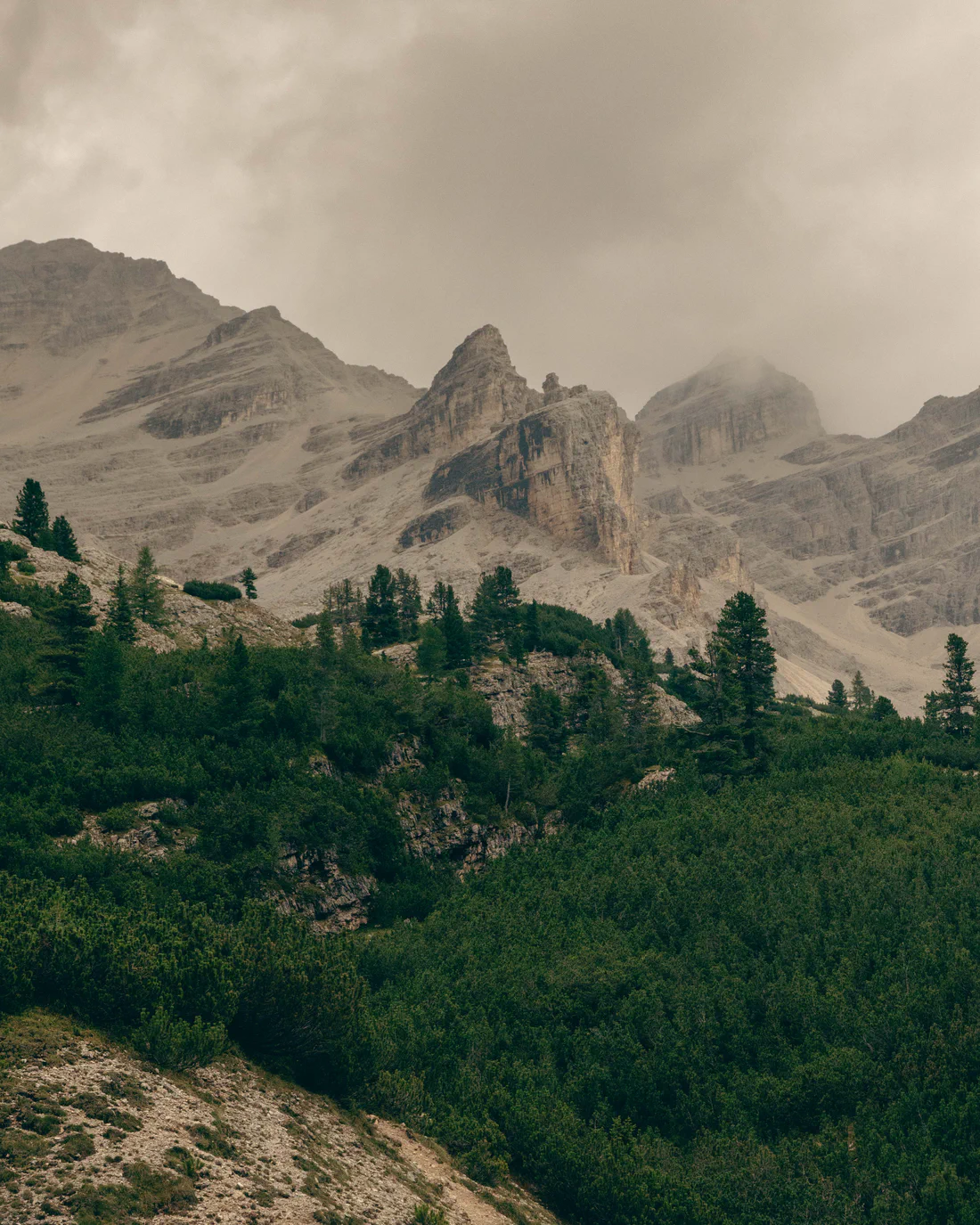 Photograph from Veneto e Dolomiti '25